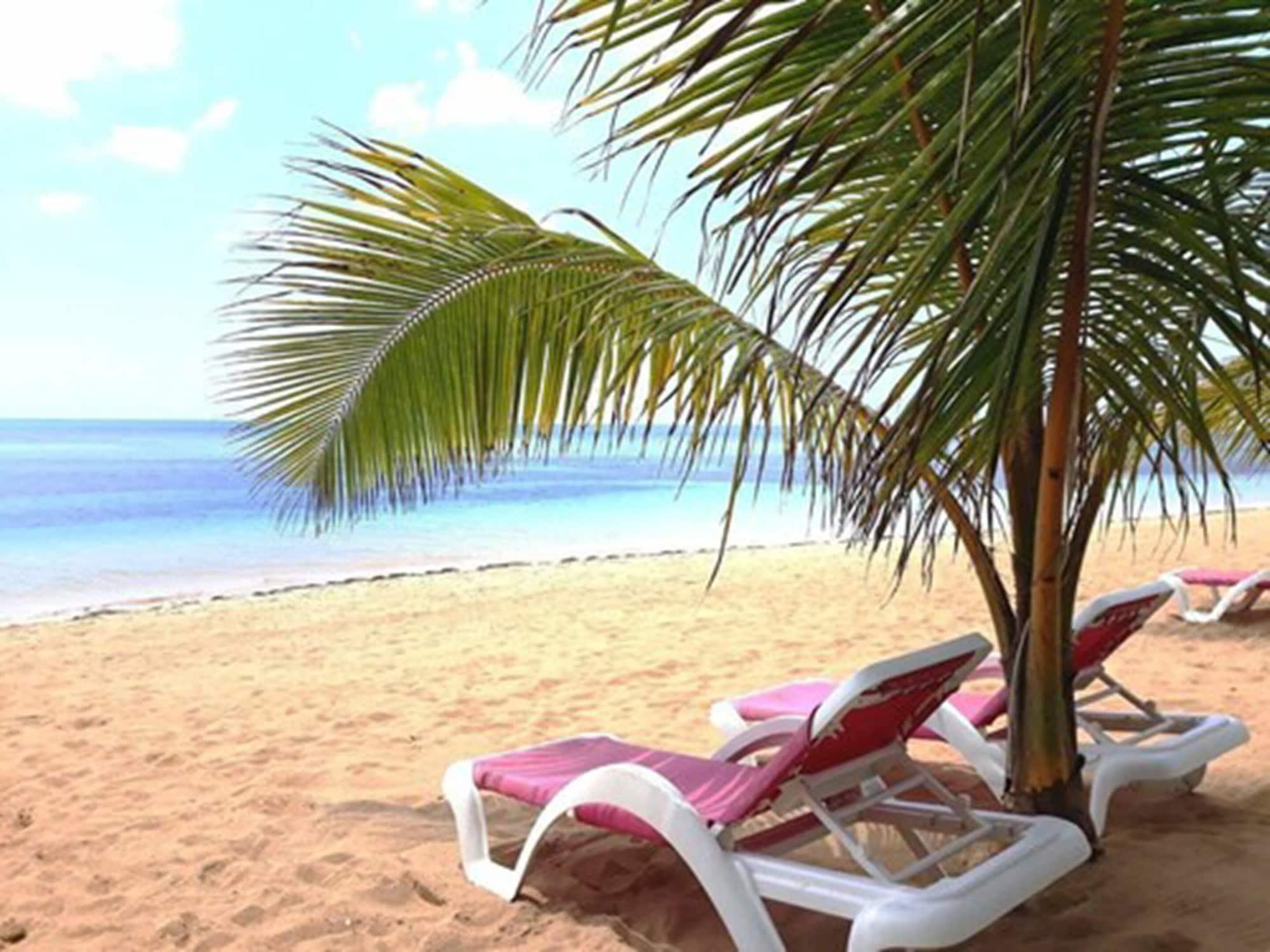Louisa Apartamentos Las Terrenas Ngoại thất bức ảnh